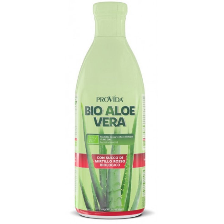 PROVIDA BIO ALOE HEIDELBEERE 1L