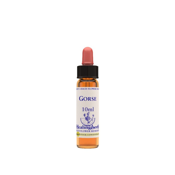 GORSE ESSENZA 10ML