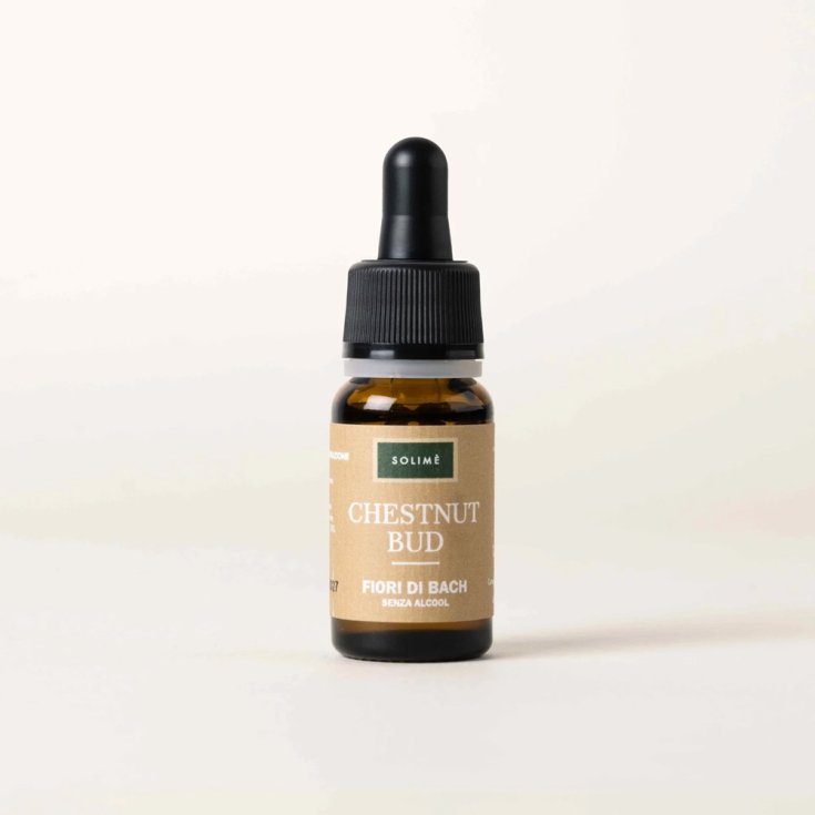 CHESTNUT BUD 10ML