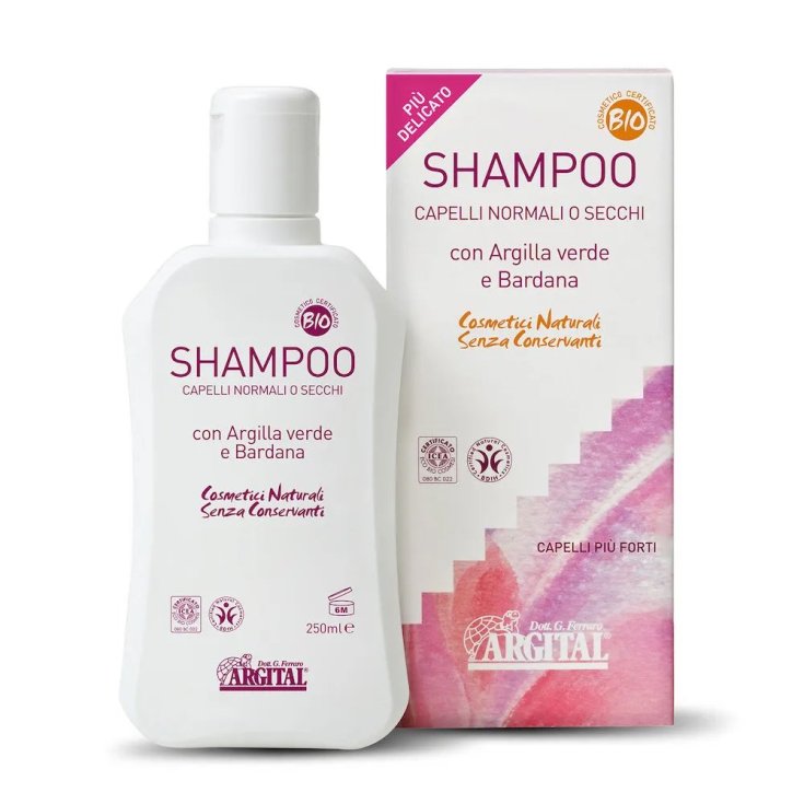 SHAMPOO CAP NORM/SECCHI 250ML