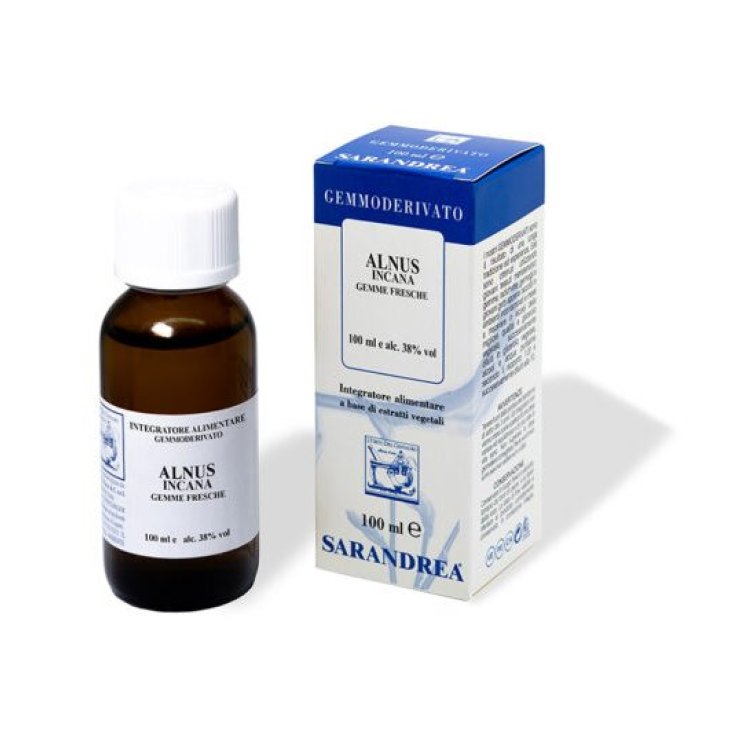 ALNUS INCANA 100ML MG