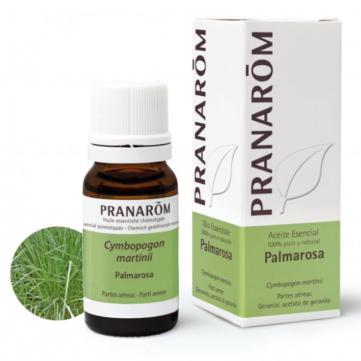 PRANAROM OE PALMAROSA 10ML