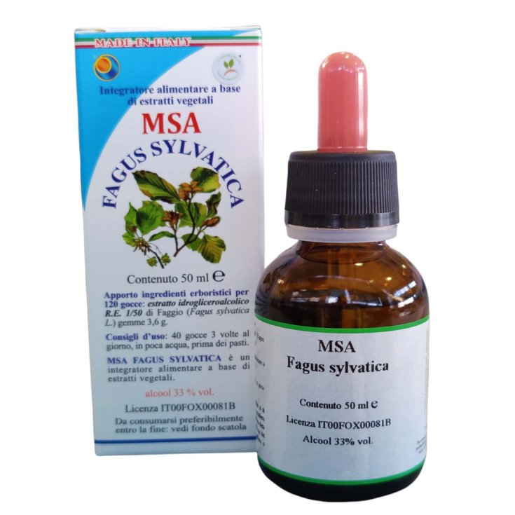 MSA FAGUS SYLVATICA 50ML