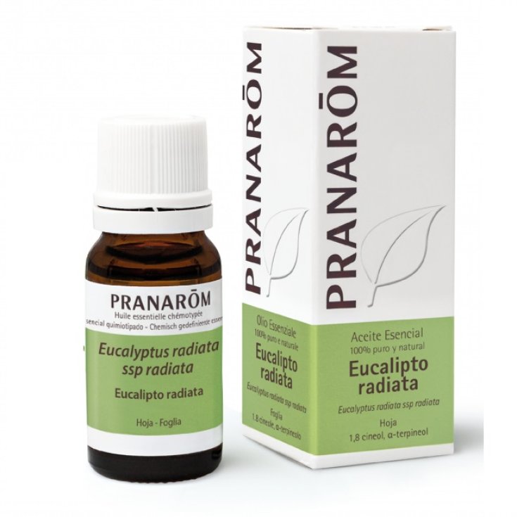 PRANAROM OE EUCAL RADIATA 10ML