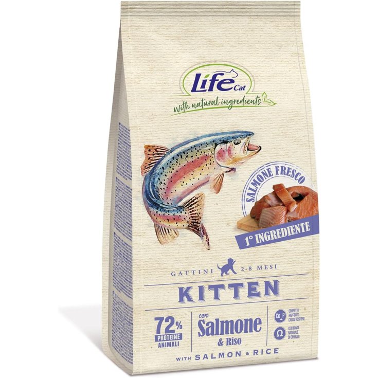 KITTEN SALM 1 5KG