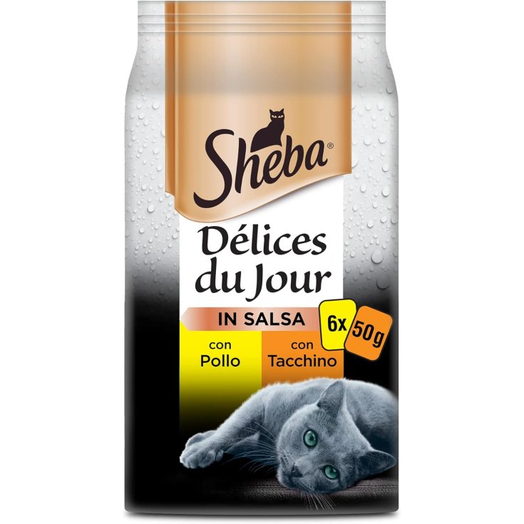 SHE DDJ POL TACCH SA 50G 6PZ