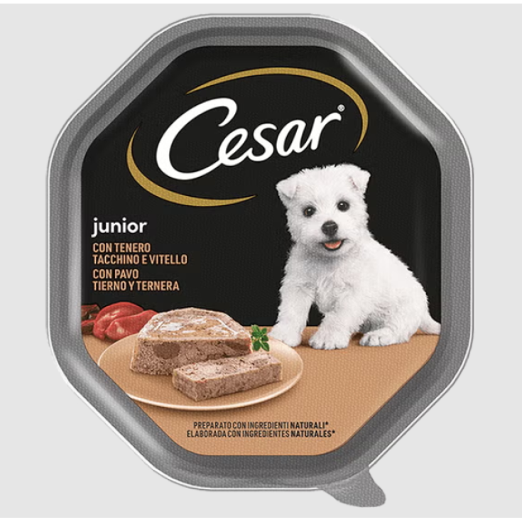 CESAR JUNIOR VITELLO/TACCHINO