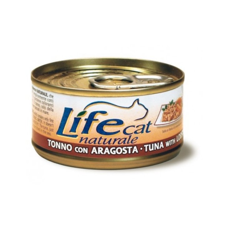 TONNO ARAGOSTA 85G