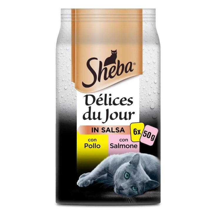 SHE DDJ POL SALM SALSA