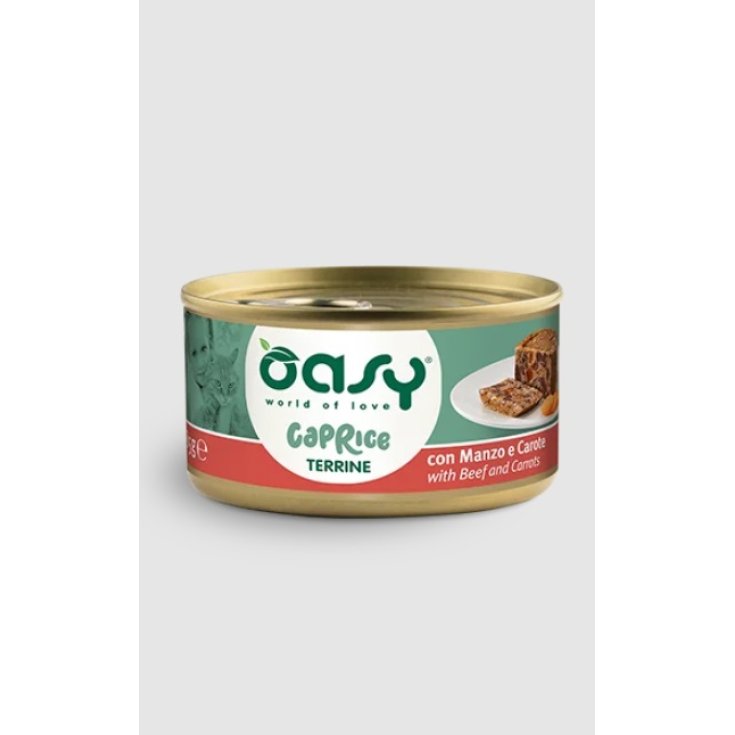 OASY WET CAT TERR MANZO/CAR85G