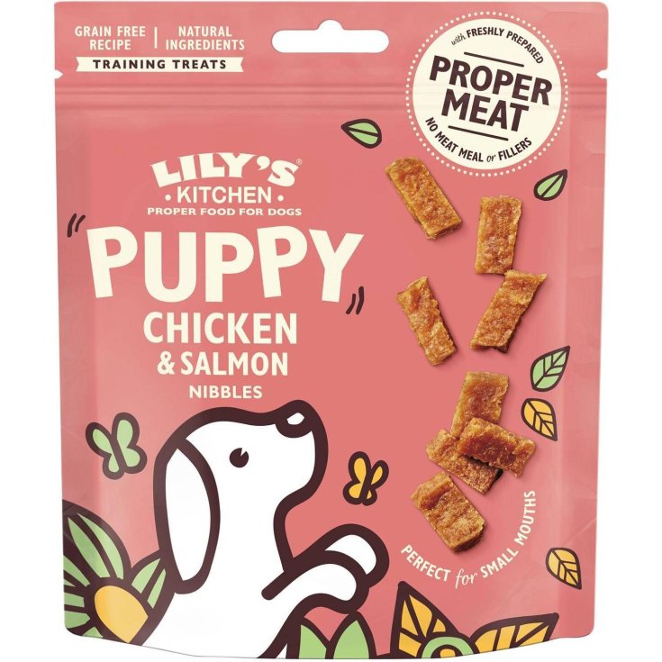 LK SNACKS DO PUP NIB CH&SAL70G