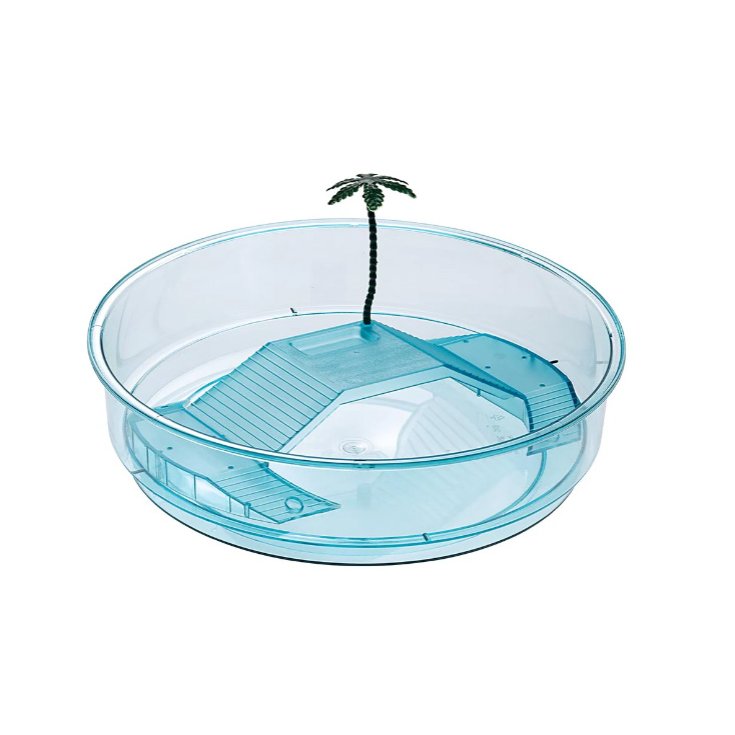 OASI AZZURRA TARTARUGHIERA