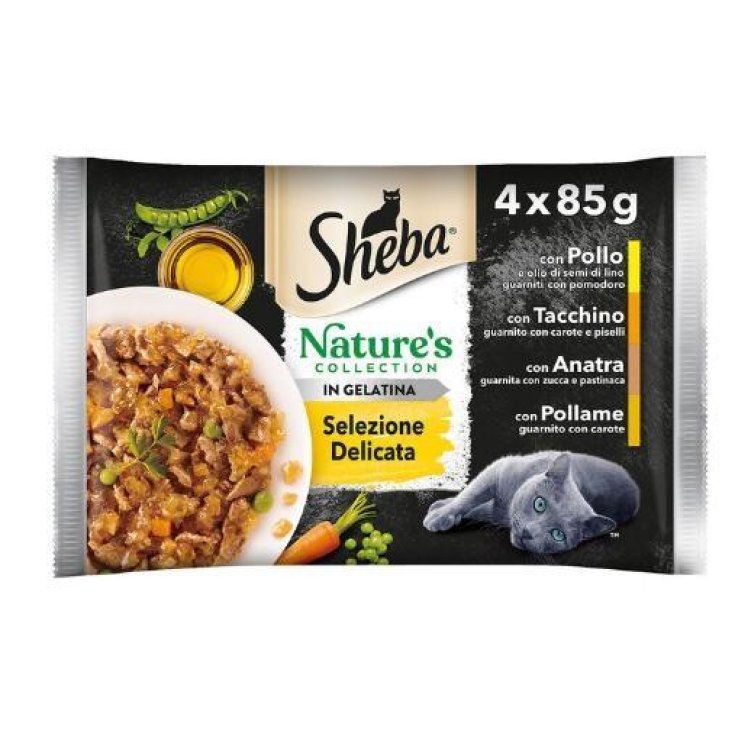 SHE NC SEL DELIC GEL 85G 4PZ