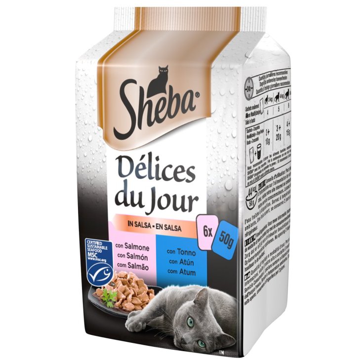 SHE DDJ SALM TON SALSA 50G 6PZ