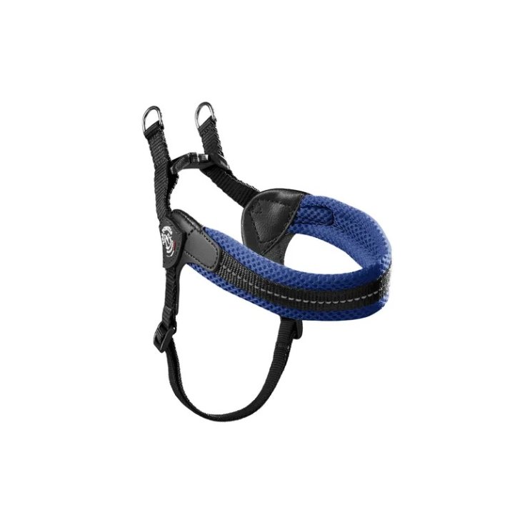 TP EF RE S/P REG BLU 1