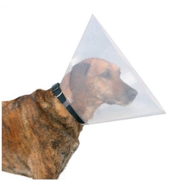 COLLARE ELISABETTA TRASP 10CM