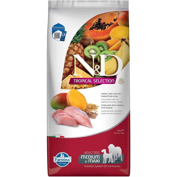 N&D DOG TROP S CHK AD M/MX10