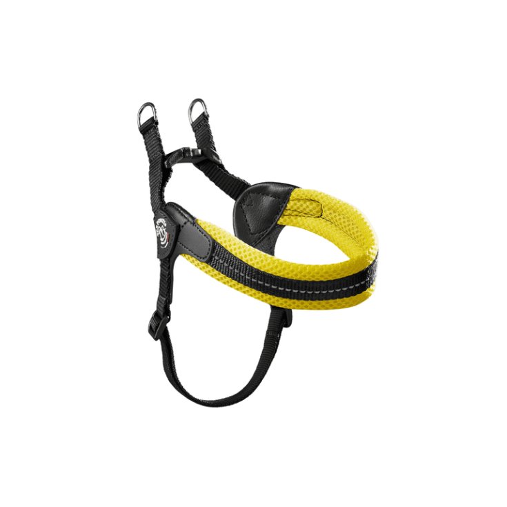TP EF RE S/P REG GI FLUO 1