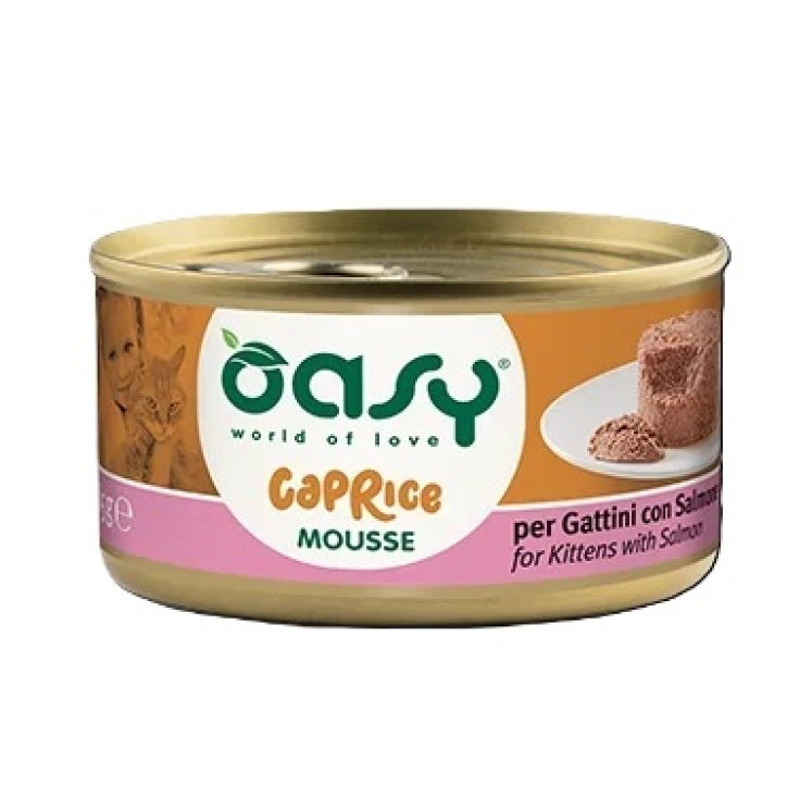 OASY WET CAT C MOUSSE KITT SAL