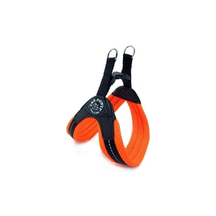 TP EF RE CLK ARA FLUO 1,5