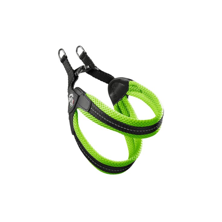 TP EF RE CLK VE FLUO 2,5