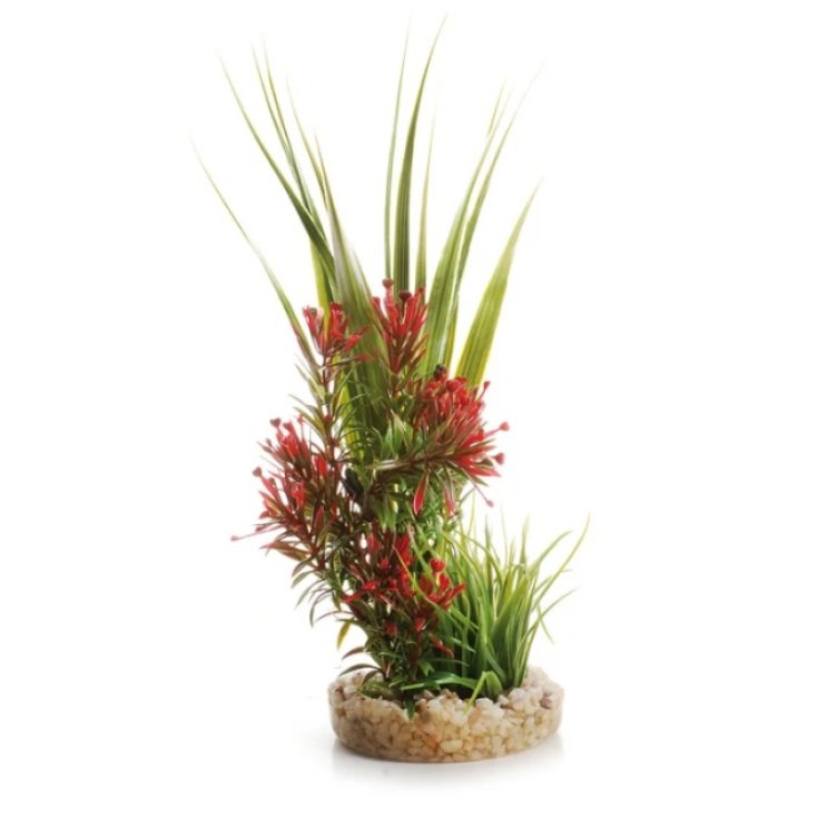 ACQUAFRIEND PIANTINA BOUQUET,BASE IN GHI