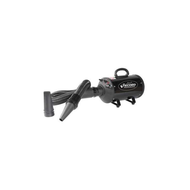 RECORD WINDY PHON/SOFFIATORE 2200W