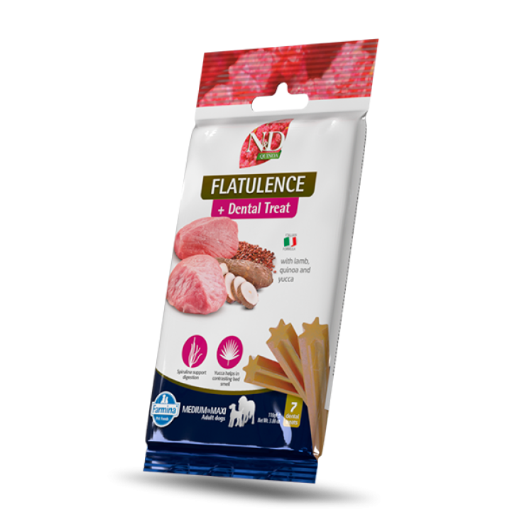 SNACK DOG QUINOA FLATULENCE M/M 110 GR