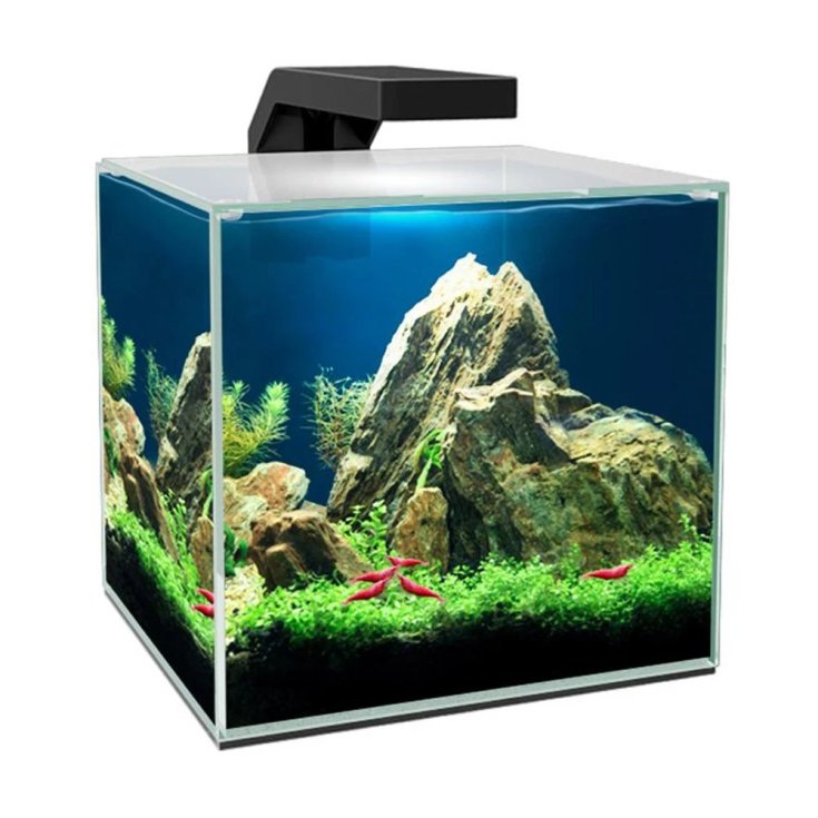 ACQUARIO CUBE 10