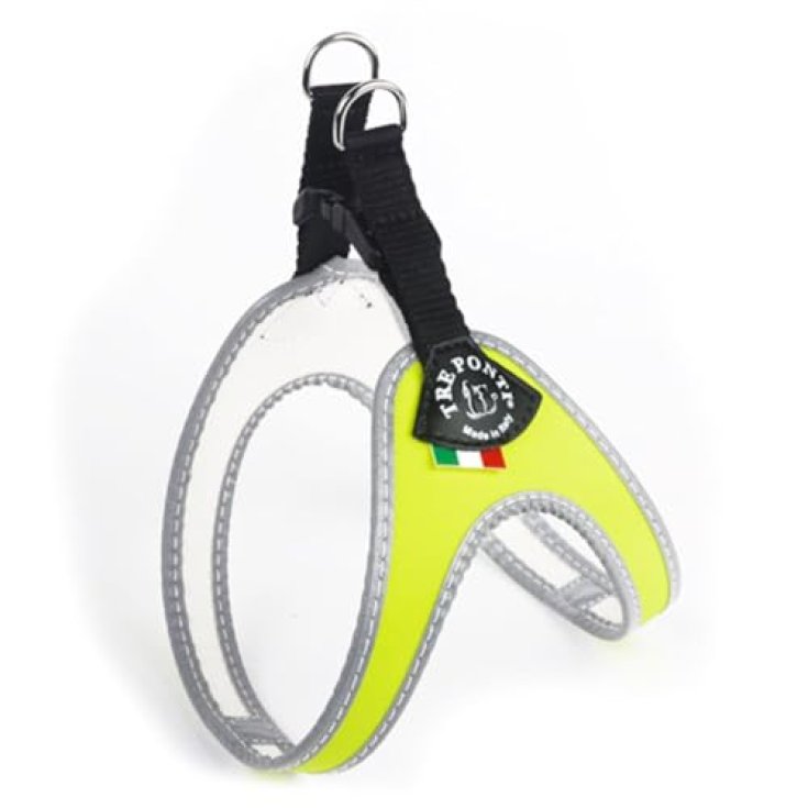 TP EF SILVER CLK GI FLUO 2,5