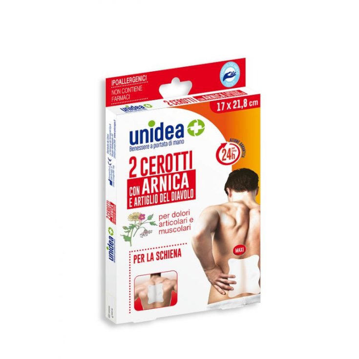UNIDEA CER ARNICA 17X21,8CM 2P