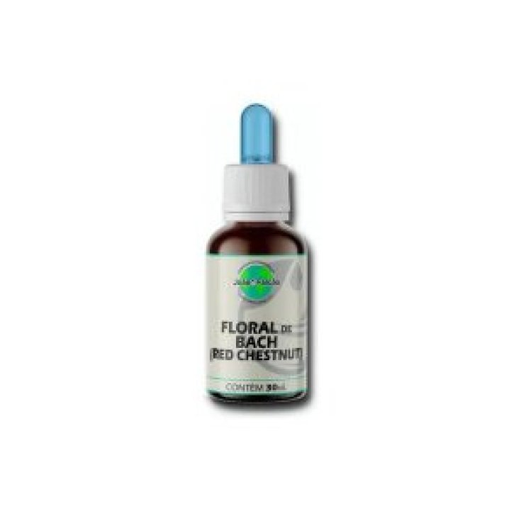 RED CHESTNUT ESSENZA 30ML