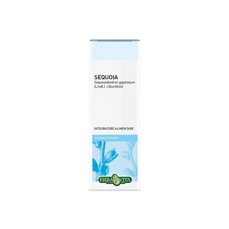 Erba Vita Sequoia Gemmoderivato in Gocce, 50ml