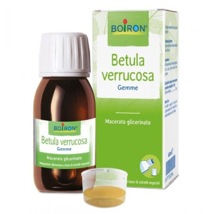Sarandrea Marco Birch Verrucosa Gems Homöopathisches Mittel 100ml Mg