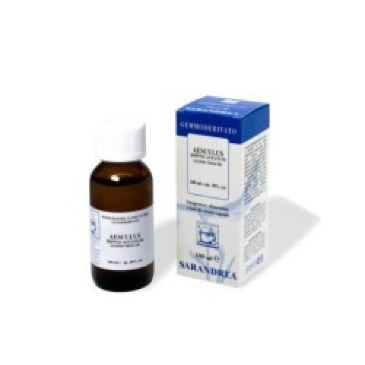 Ledum Palustre Tropfen 1000ml