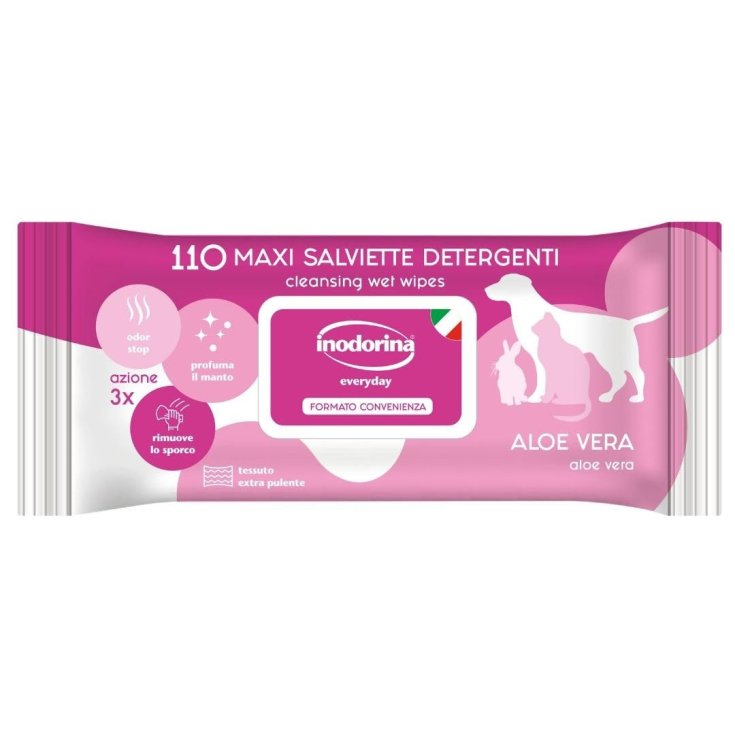 INODORINA SALVIETTE ALOE 110PZ