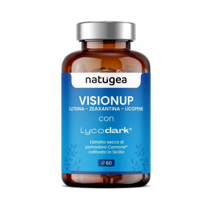 VISIONUP 60CPR