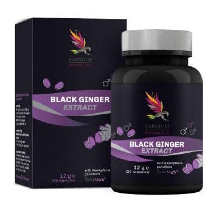 Carnium Botanicals Black Ginger: Integratore Zenzero Nero, 30 Capsule