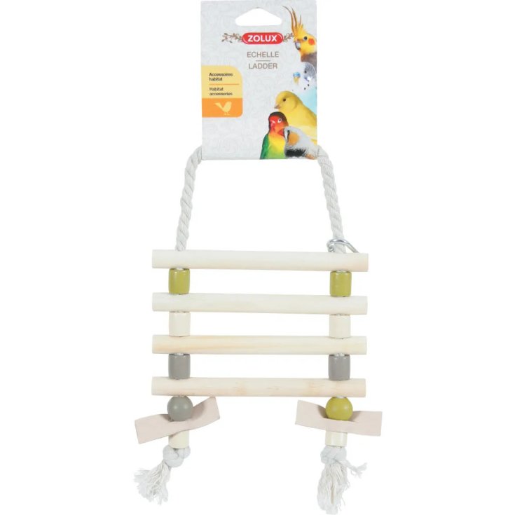 SCALA CORDA+CUOIO ASSORTITA