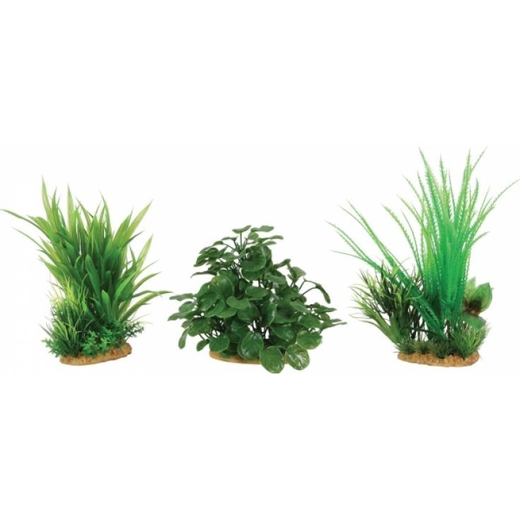 DISPLAY 6 PIANTE AQUA SET M