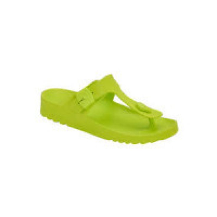 Scholl Bahia Flip-Flop Infradito Donna Verde Lime Taglia 39