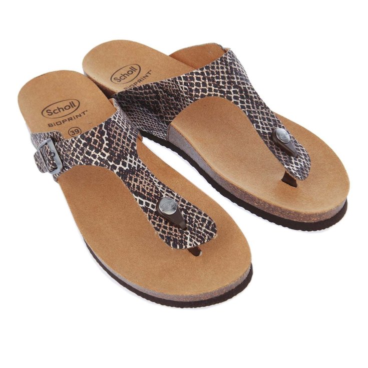 Scholl Gandia Anim Pr Mic W Wh/M 40