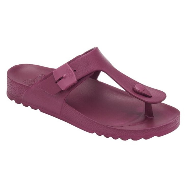 Scholl's Bahia Eva Woman Wine 38