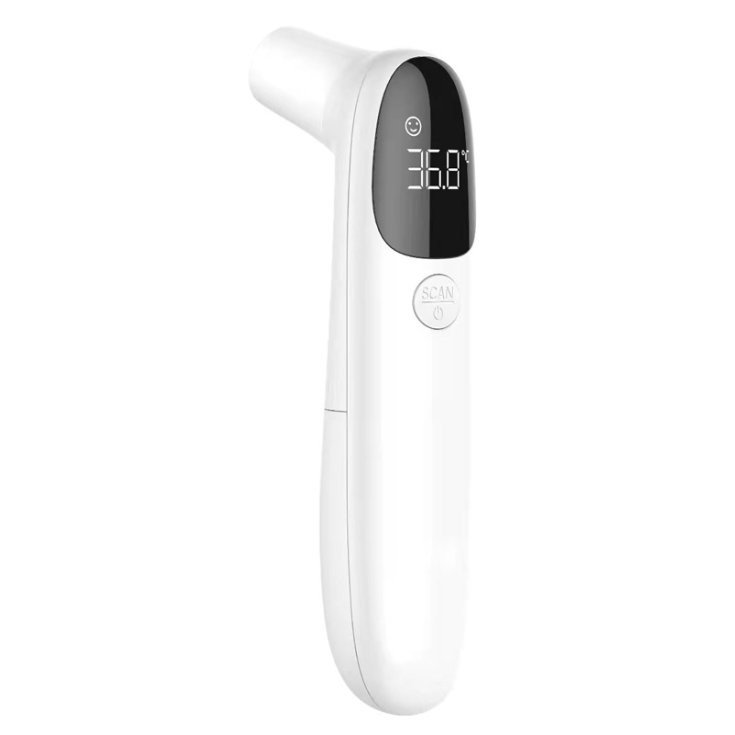 Scholl's Bahia Flip-F EVA W Sage 40
