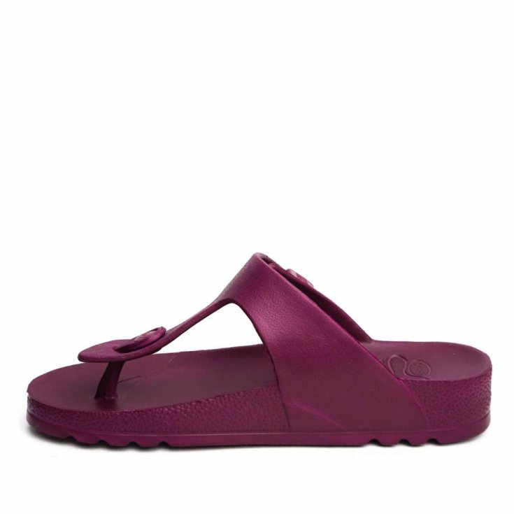 Scholl's Bahia Flip-Flop Eva Donna Wine Mis. 36