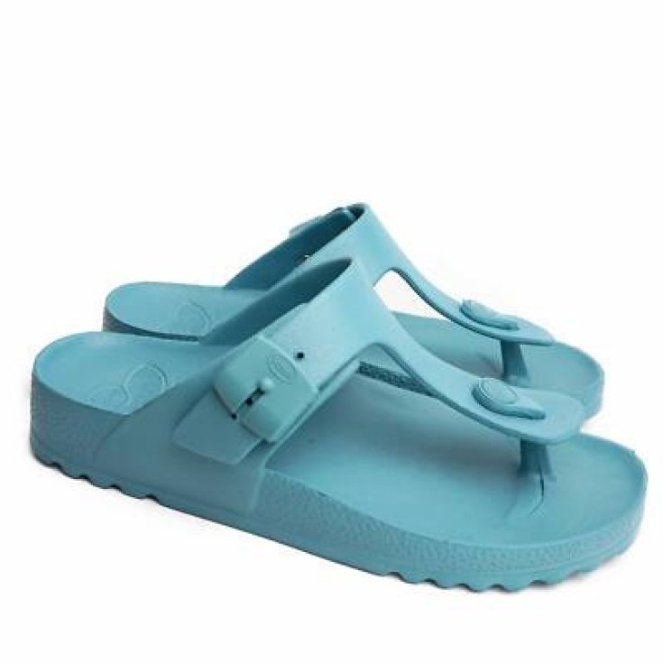 Scholl's Bahia Flip-Flop Eva Donna Wine 41