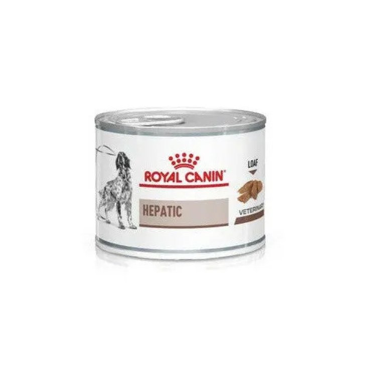 VHN W DOG HEPATIC 200G