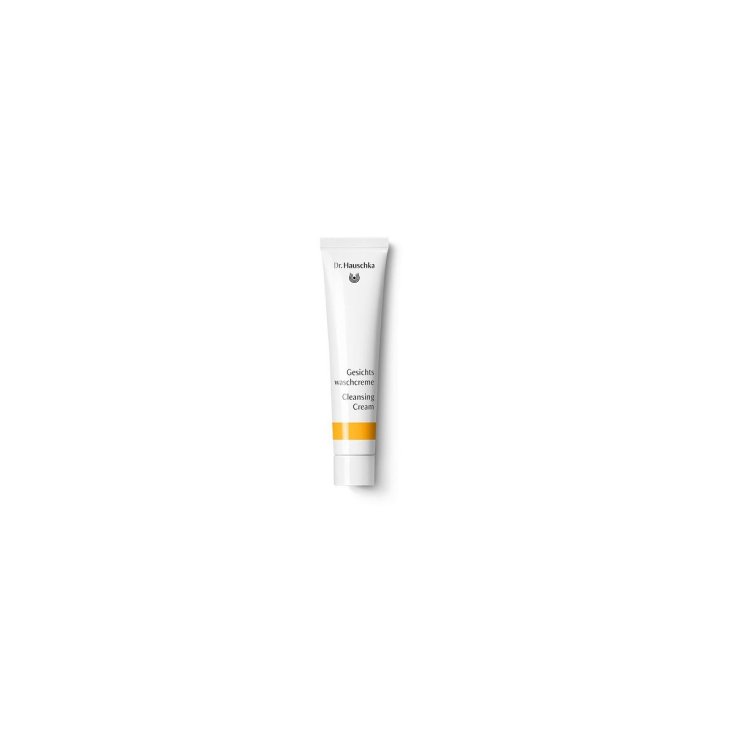 DR HAUSCHKA CREMA DET SPECIAL