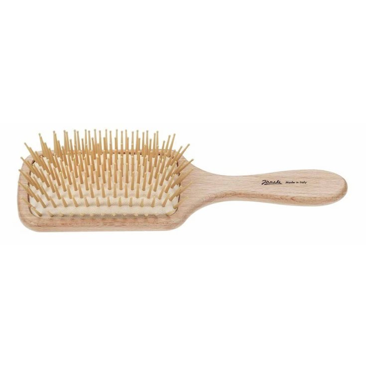 Giorgio Janeke Spazzola Legno Naturale Rettangolare Piccola