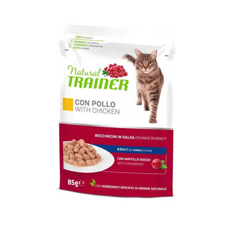 ZWISCHEN KAT.-NR. UM BS HBALL POL 85G